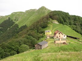 IMG_6886
